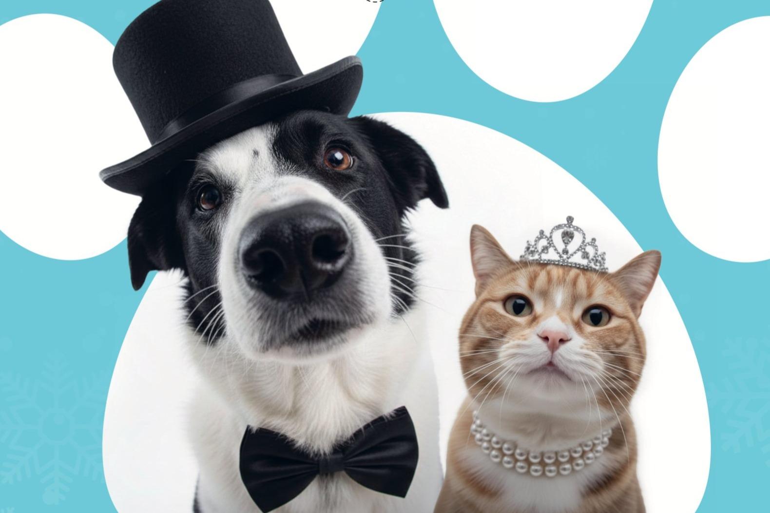 Tanec: PLES ŠANCE ZVÍŘATŮM